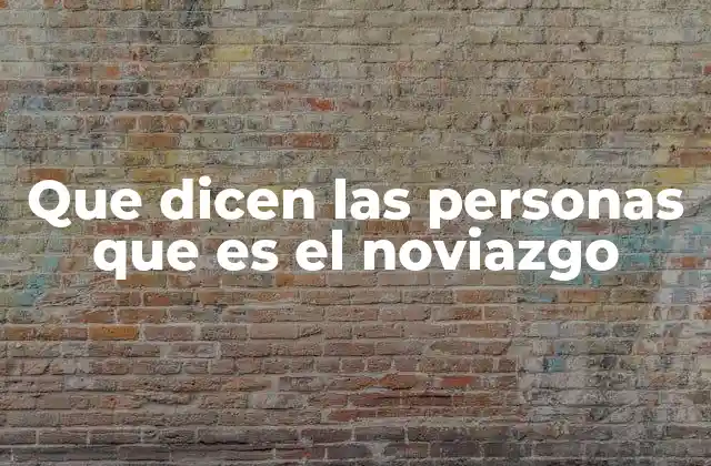 Que Dicen las Personas que es el Noviazgo
