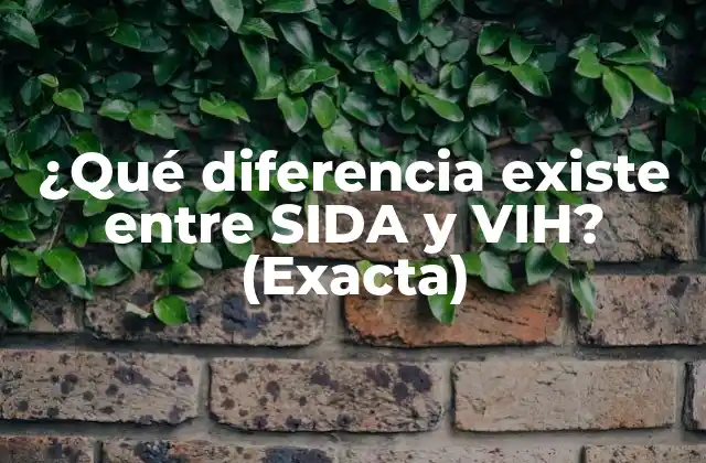 ¿qué Diferencia Existe entre Sida y Vih? (exacta)