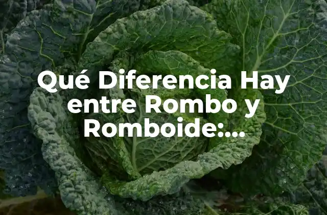 Qué Diferencia Hay entre Rombo y Romboide: Entendiendo las Formas Geométricas