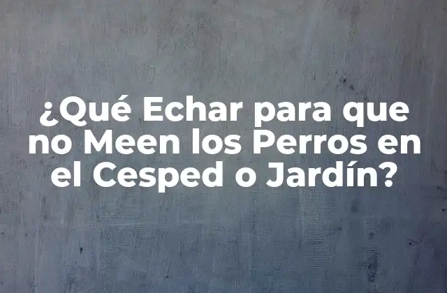 ¿qué Echar para que No Meen los Perros en el Cesped o Jardín?