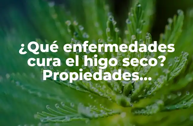¿qué Enfermedades Cura el Higo Seco? Propiedades Medicinales y Beneficios