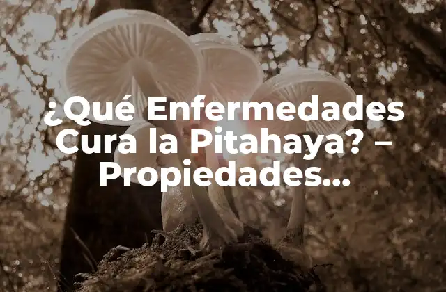 ¿qué Enfermedades Cura la Pitahaya? – Propiedades Medicinales y Beneficios