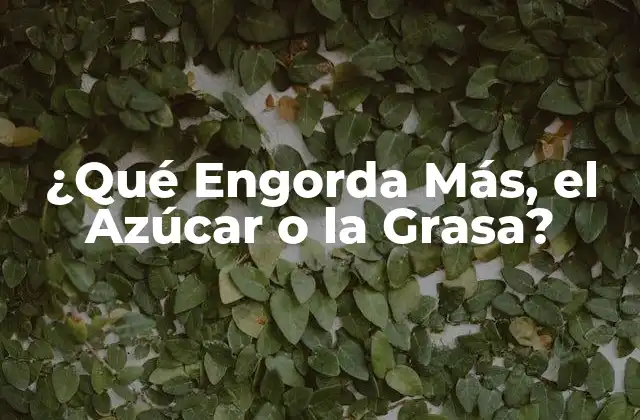 ¿qué Engorda Más, el Azúcar o la Grasa?