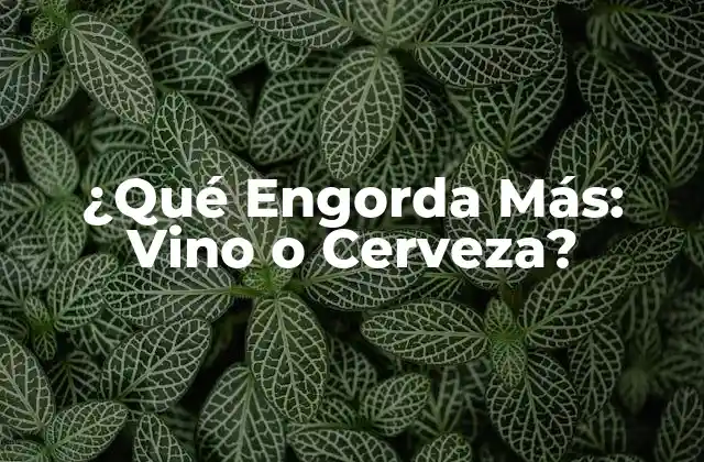 La Composición Nutricional del Vino y la Cerveza