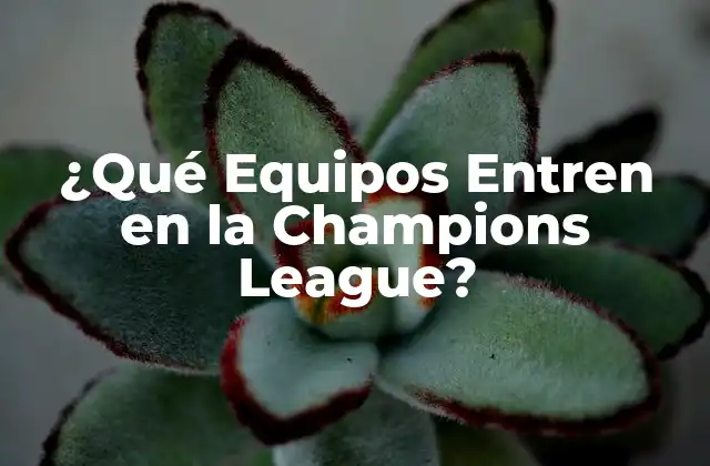 ¿qué Equipos Entren en la Champions League?