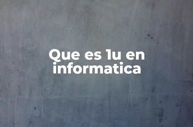 Que es 1u en Informatica