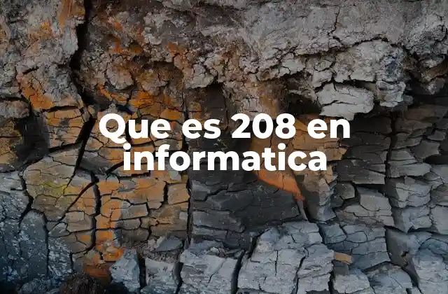 Que es 208 en Informatica