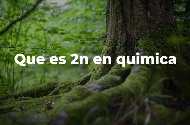 Que es 2n en Quimica