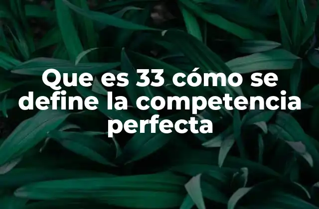 Que es 33 Cómo Se Define la Competencia Perfecta