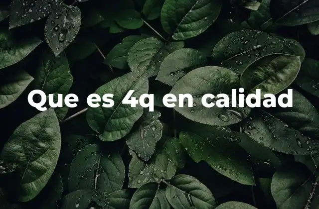 Que es 4q en Calidad