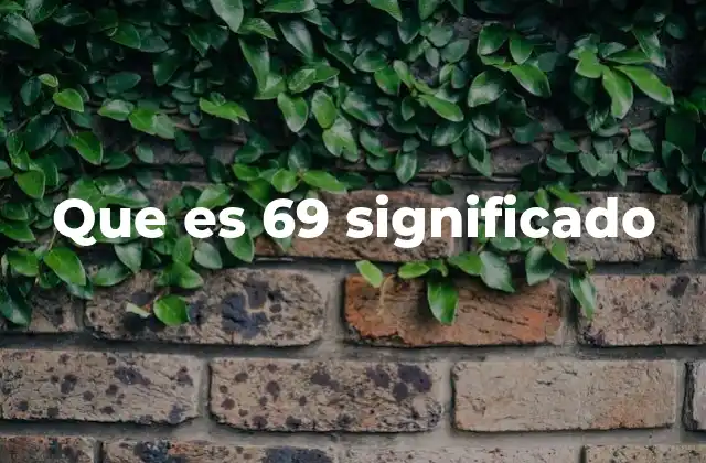 Que es 69 Significado