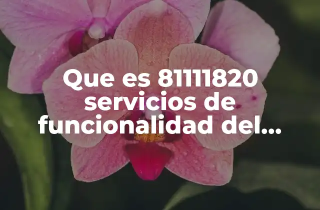 Que es 81111820 Servicios de Funcionalidad Del Sistema
