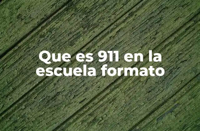 Que es 911 en la Escuela Formato