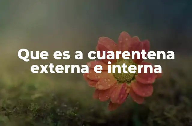 Que es a Cuarentena Externa e Interna
