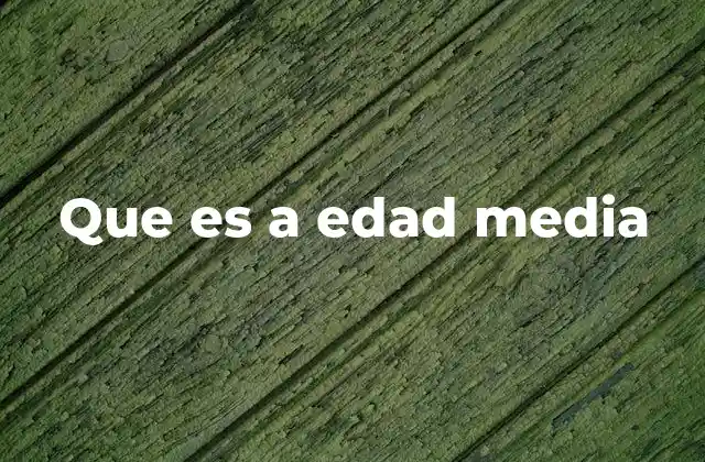 Que es a Edad Media