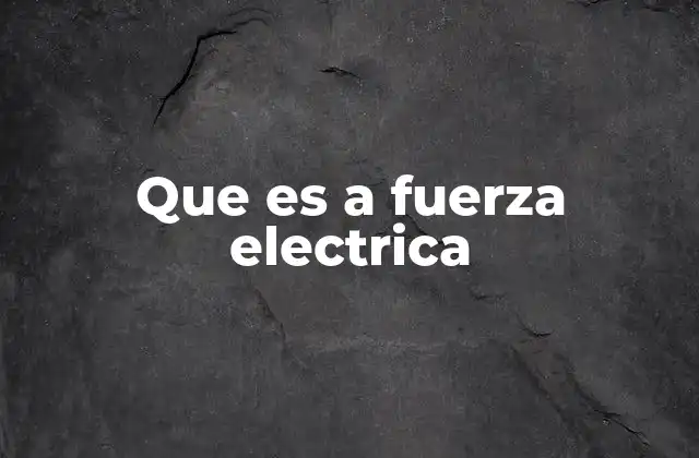 Que es a Fuerza Electrica