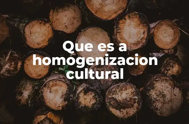 Que es a Homogenizacion Cultural