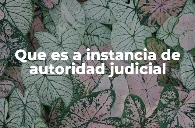 Que es a Instancia de Autoridad Judicial
