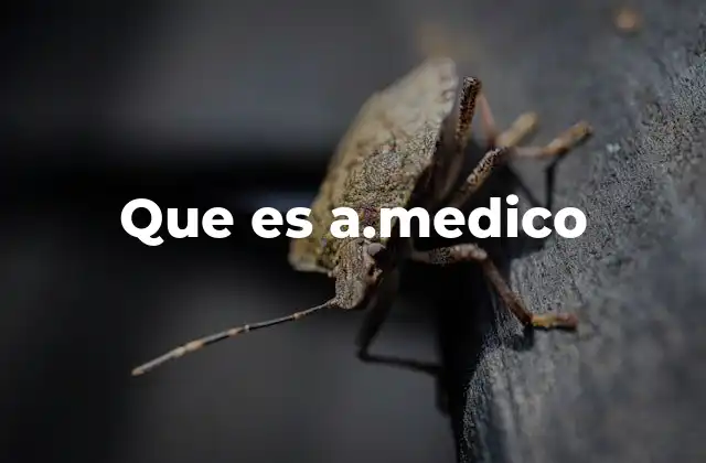 Que es A.medico