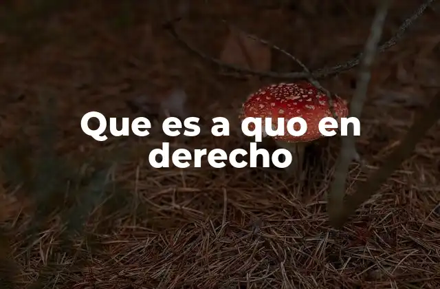 Que es a Quo en Derecho