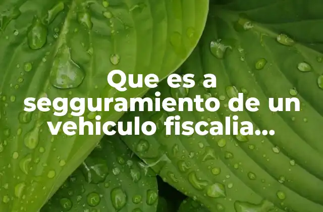 Que es a Segguramiento de un Vehiculo Fiscalia Mexicana
