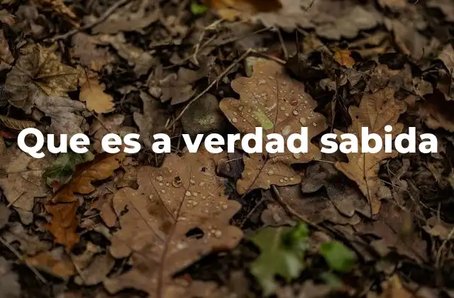 El uso de afirmaciones aparentemente obvias en el lenguaje cotidiano