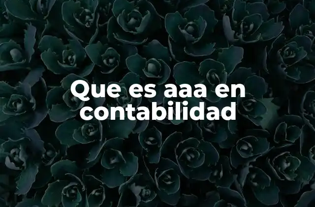 Que es Aaa en Contabilidad