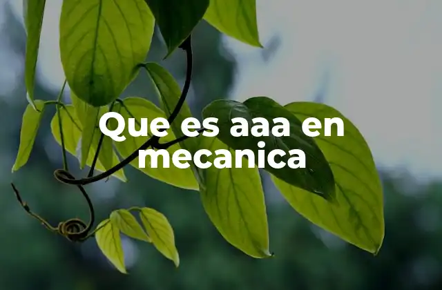 Que es Aaa en Mecanica