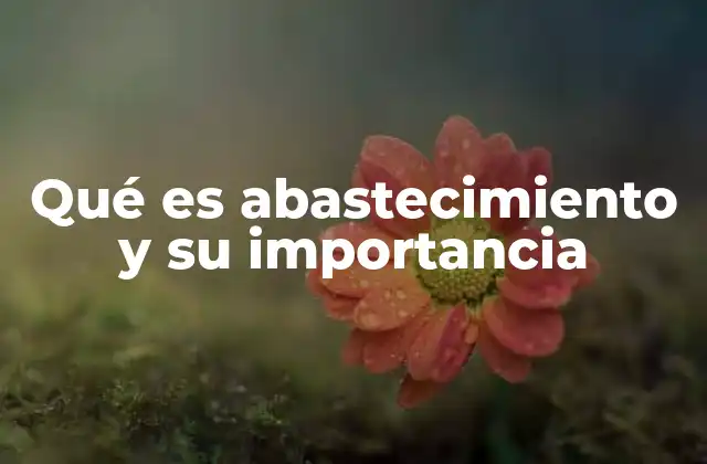 Qué es Abastecimiento y Su Importancia