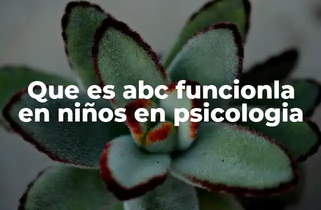 Que es Abc Funcionla en Niños en Psicologia
