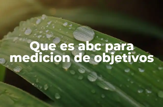 Que es Abc para Medicion de Objetivos