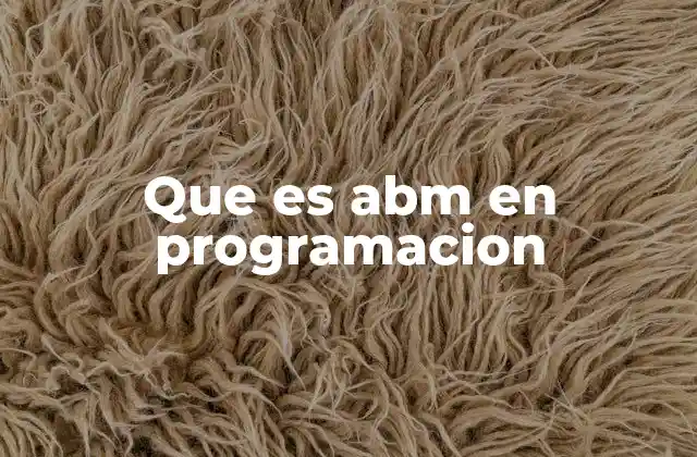 Que es Abm en Programacion