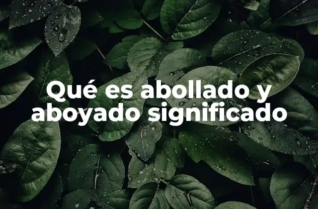 Qué es Abollado y Aboyado Significado