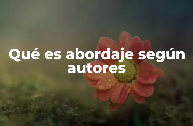 Qué es Abordaje según Autores