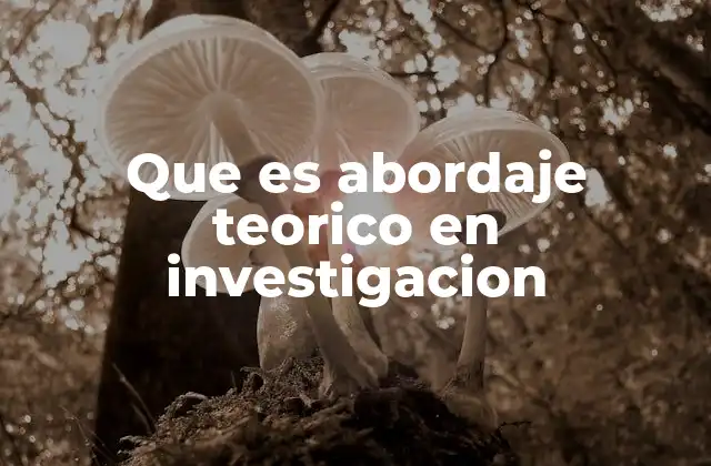Que es Abordaje Teorico en Investigacion 2 La importancia de un marco teórico sólido