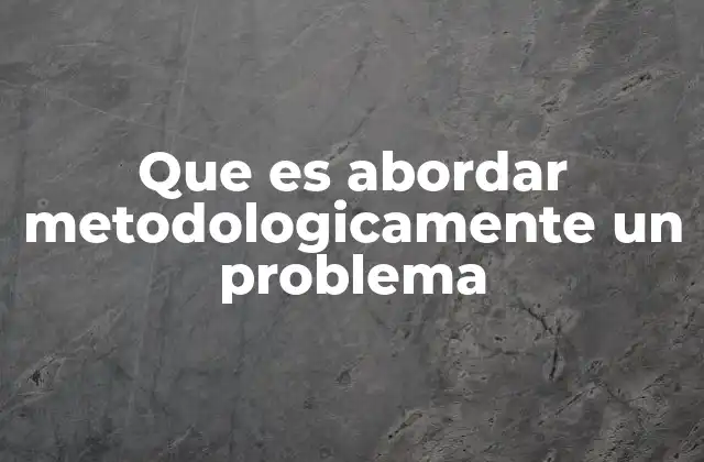 Que es Abordar Metodologicamente un Problema