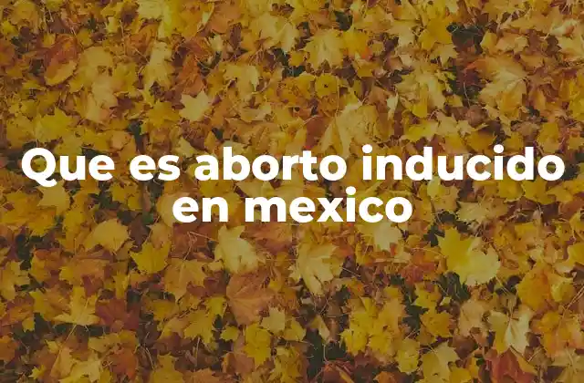 Que es Aborto Inducido en Mexico