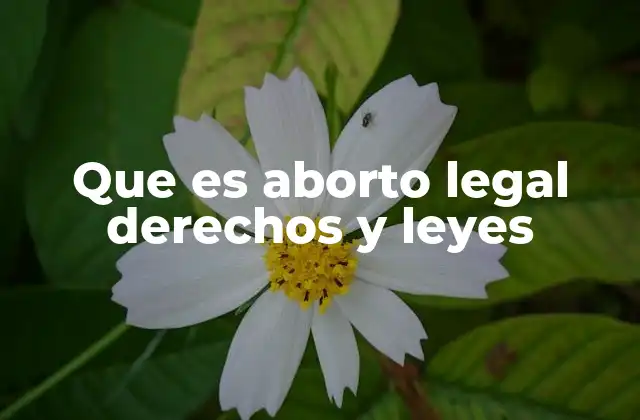 Que es Aborto Legal Derechos y Leyes