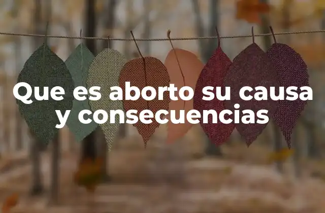 Que es Aborto Su Causa y Consecuencias