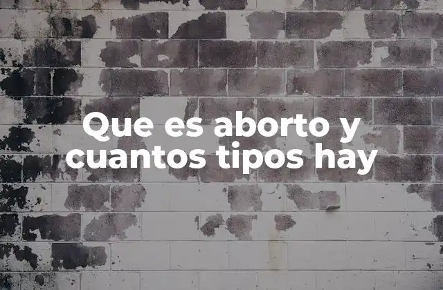 Que es Aborto y Cuantos Tipos Hay