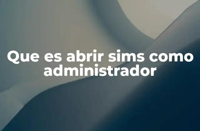 Que es Abrir Sims como Administrador 2 Cómo asegurar el correcto funcionamiento de The Sims