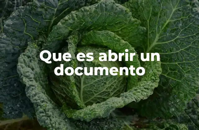 Que es Abrir un Documento