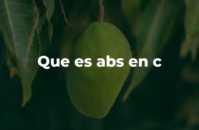 Que es Abs en C 2 Uso de la función abs en algoritmos numéricos