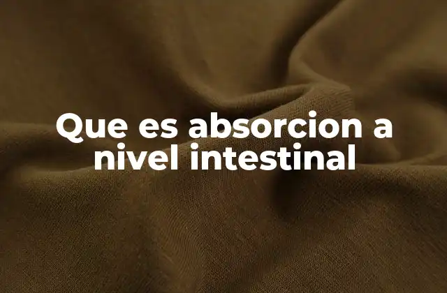Que es Absorcion a Nivel Intestinal 2 El intestino delgado y su función en el metabolismo