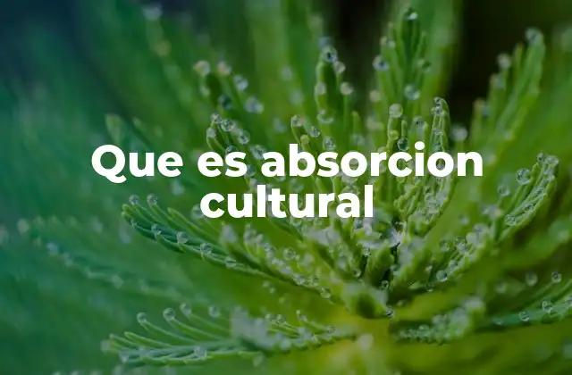 Que es Absorcion Cultural