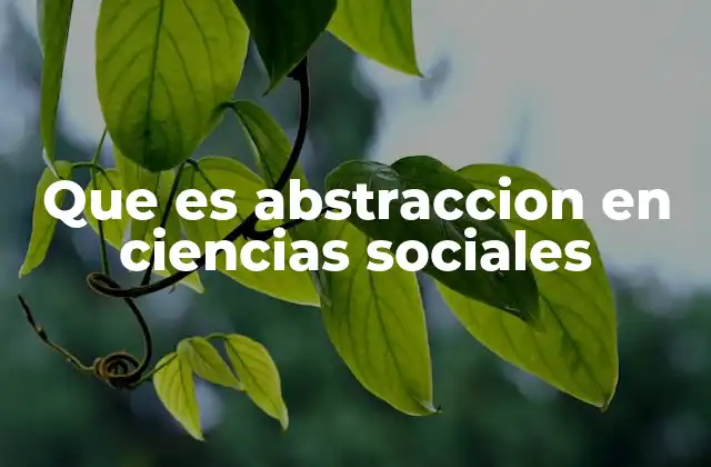 Que es Abstraccion en Ciencias Sociales