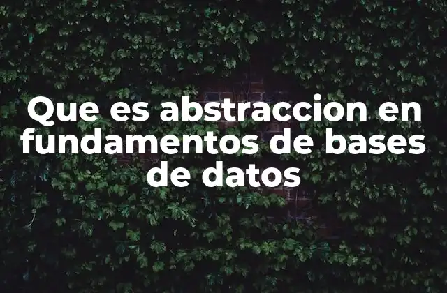 Que es Abstraccion en Fundamentos de Bases de Datos