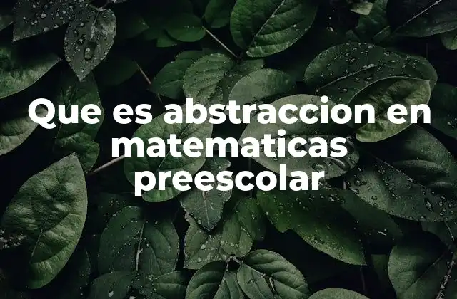 Que es Abstraccion en Matematicas Preescolar