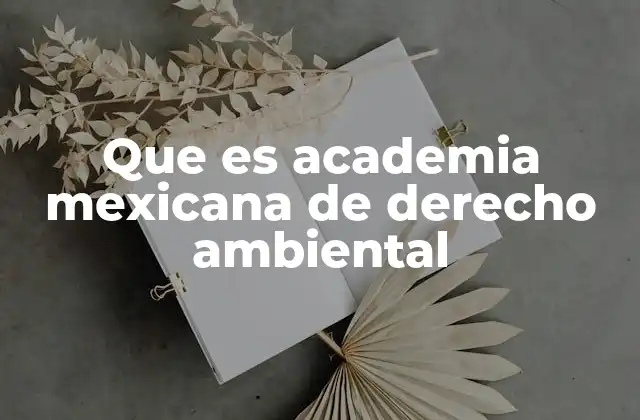 Que es Academia Mexicana de Derecho Ambiental