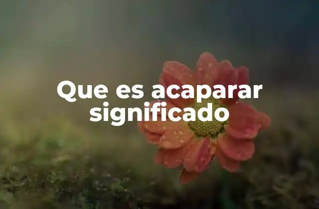 Que es Acaparar Significado